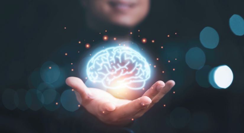 Neuroventas: Aprende técnicas psicológicas para aumentar tus ventas