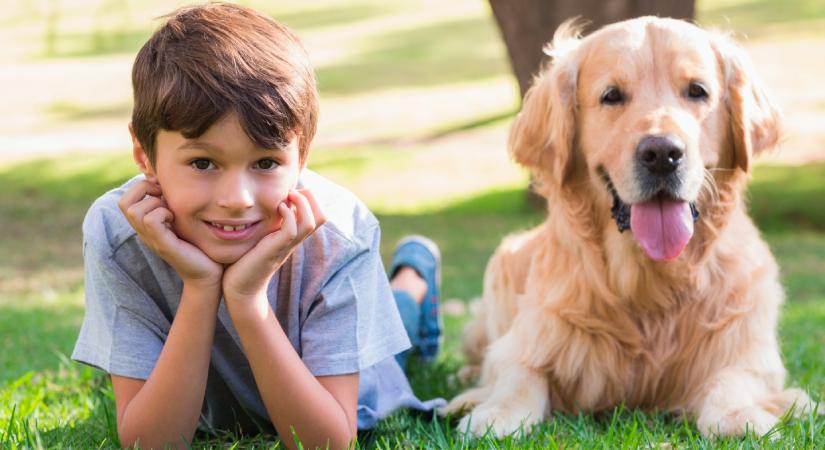 Las mascotas: una tendencia de consumo creciente Las mascotas: una tendencia de consumo creciente