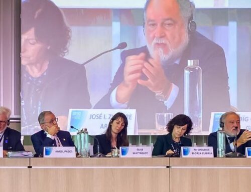 El presidente de Cámarabilbao expone ante la Comisión Arco Atlántico el rol de las Cámaras para contribuir al desarrollo de la región