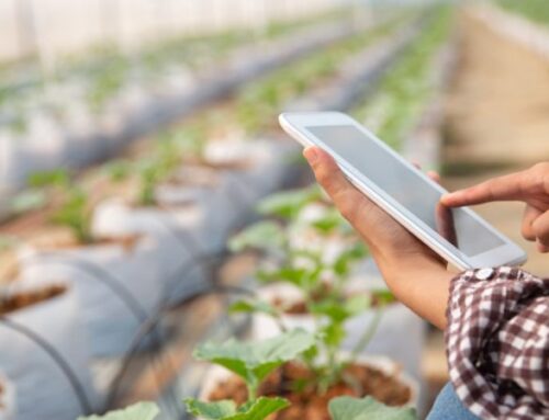¿Eres una pyme o micropyme del sector agroalimentario? ¡Solicita el Kit Digital!