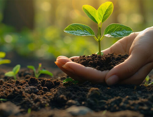 ¿Tienes una idea de negocio? Bienvenido a la fase pre-seed